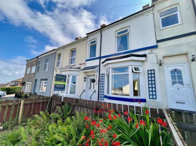 Davison Street, Lingdale, TS12 3DU